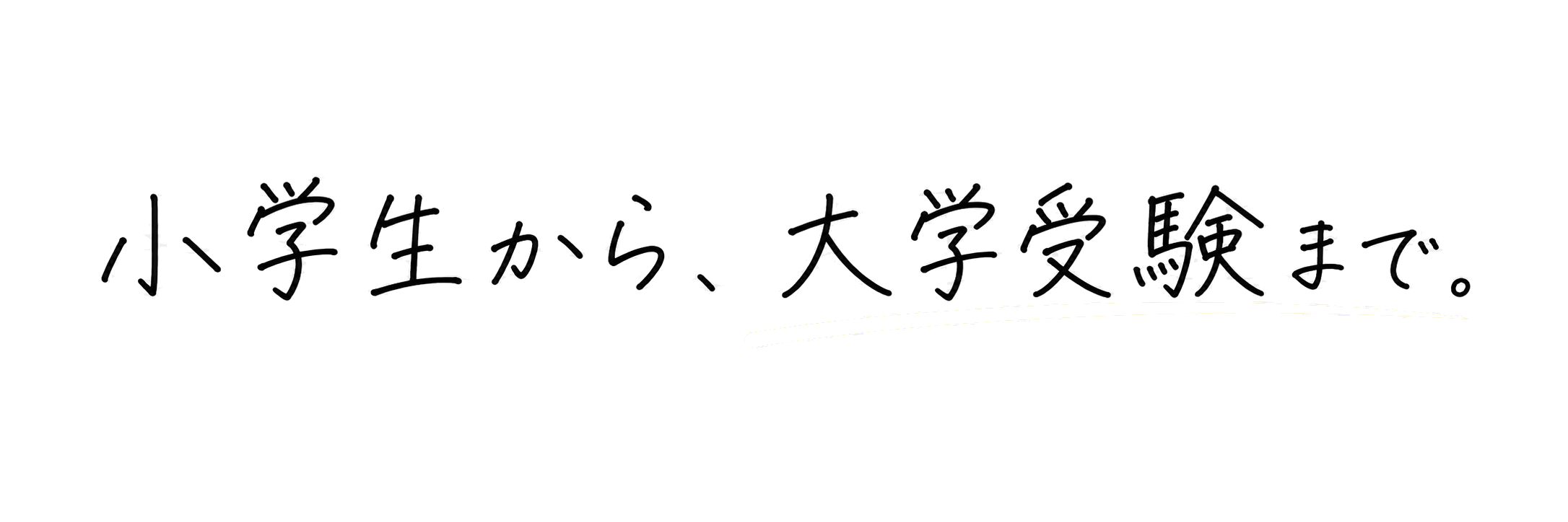 小学生から、大学受験まで。