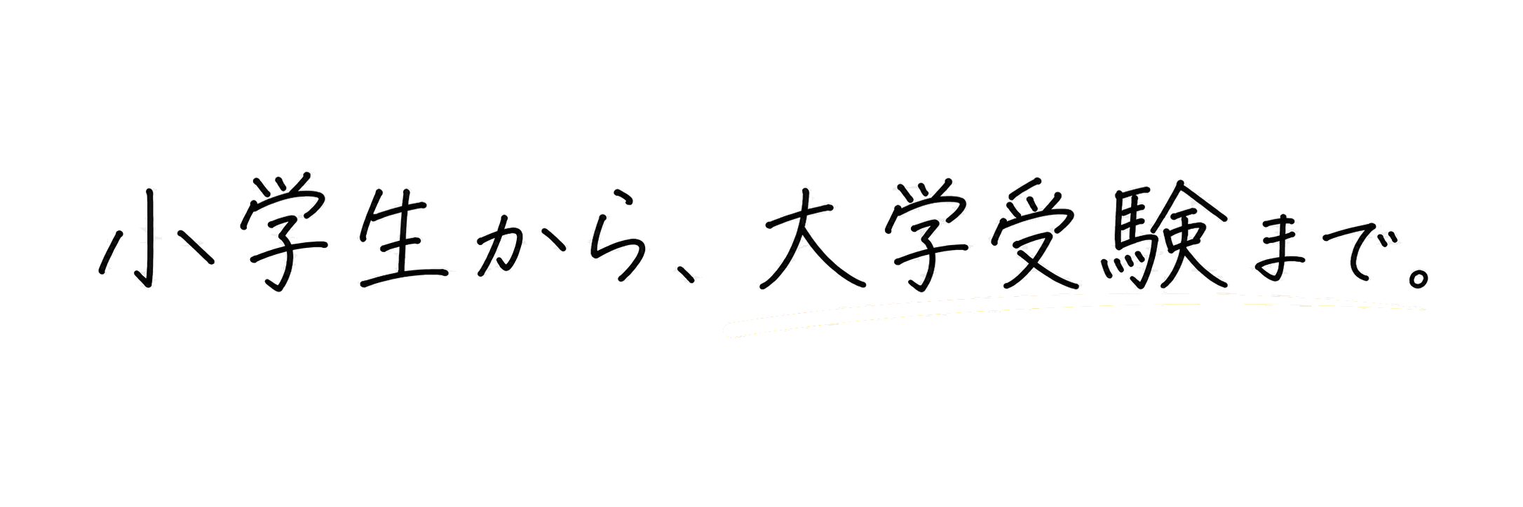 小学生から、大学受験まで。
