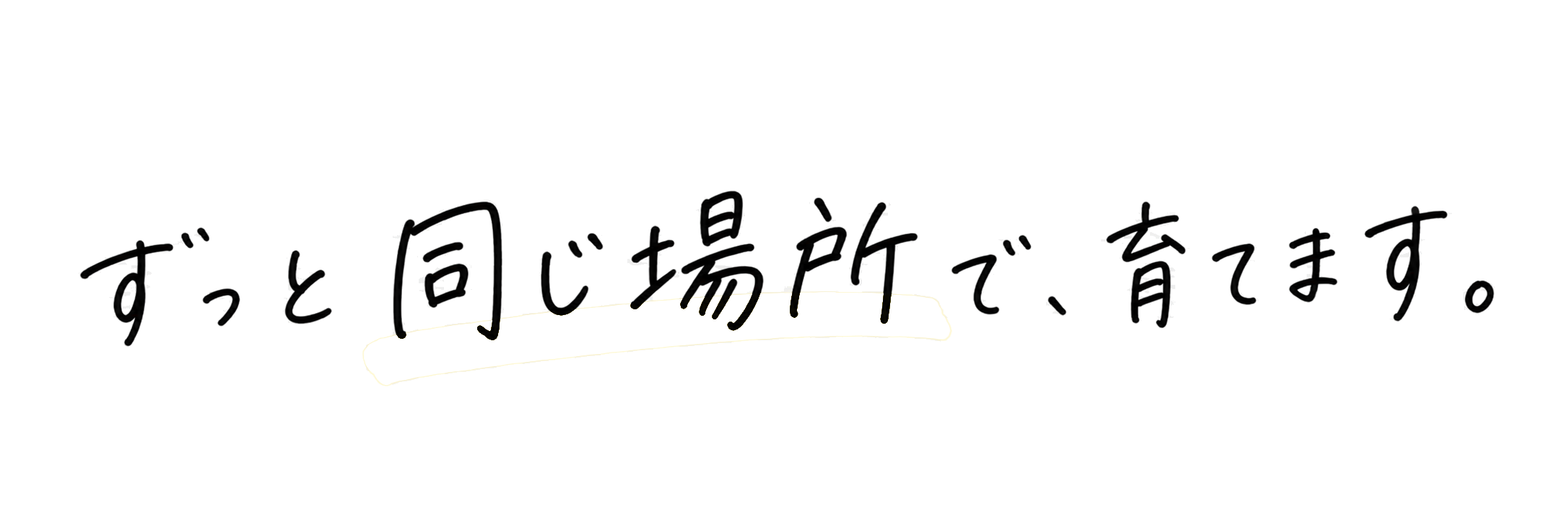 ずっと同じ場所で、育てます。