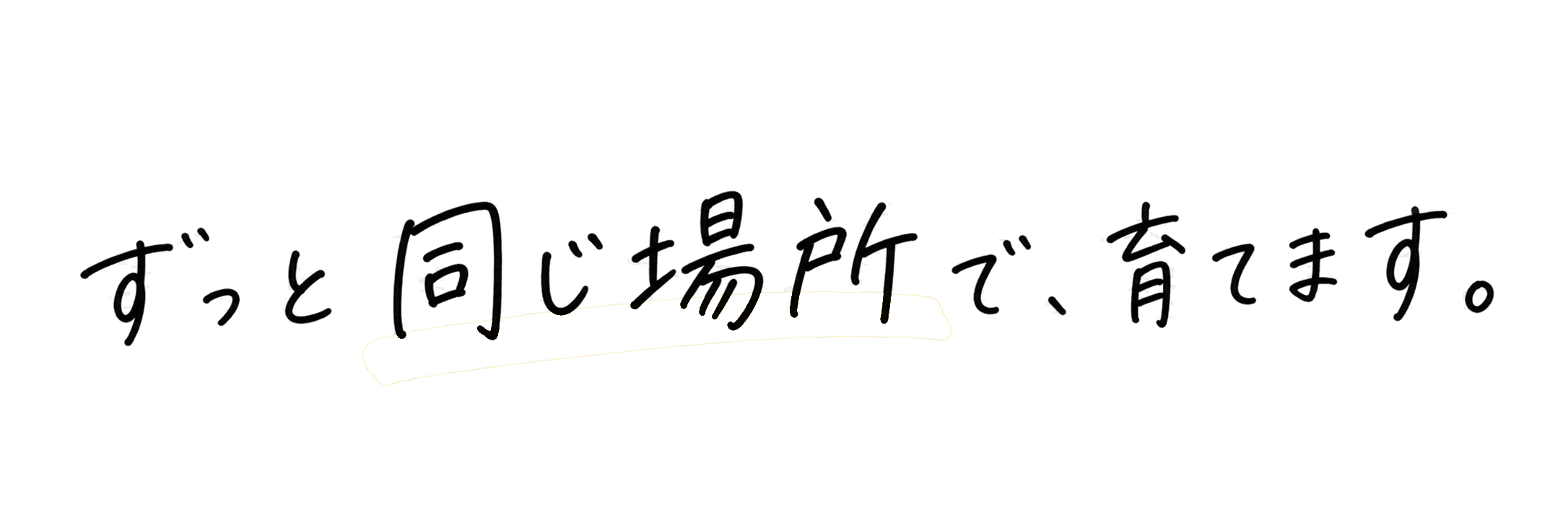 ずっと同じ場所で、育てます。