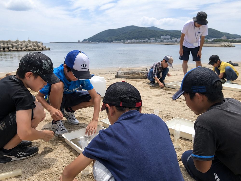 砂浜で液状化現象の実験をする子どもたち