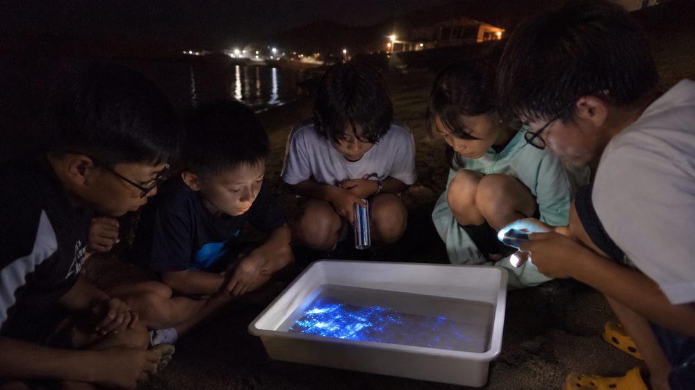 夜の海辺で青く光るウミホタルを観察する子どもたち